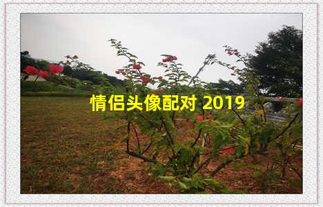 情侣头像配对 2019